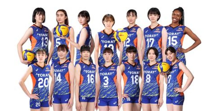 東レアローズ 女子バレーボール 選手