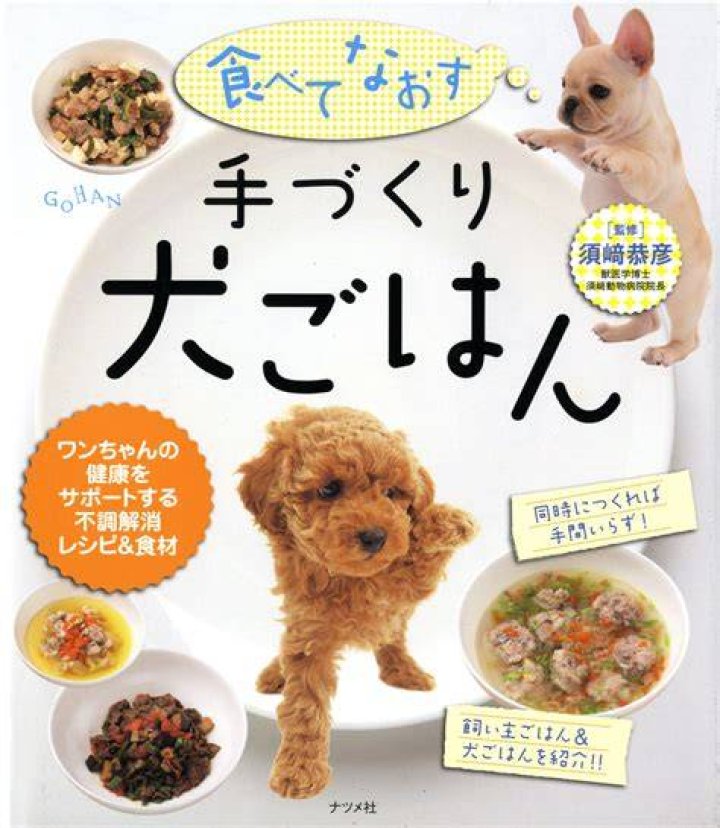 犬の早食い防止：手作りでできる工夫と安心レシピ設計